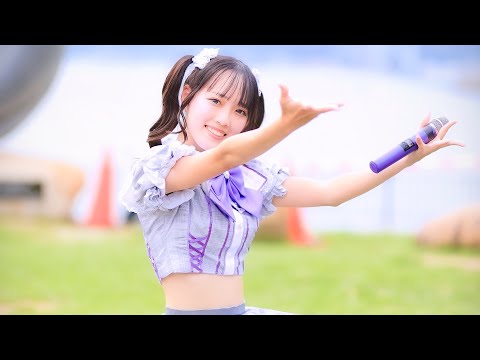 動画のタイトルなど