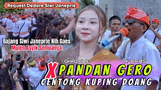 Download lagu Lagu Sasak Viral di Tahun 2026 || PANDAN GERO X CENTONG KUPI DOANG || versi ALBA 05 Ghazalie  mp3
