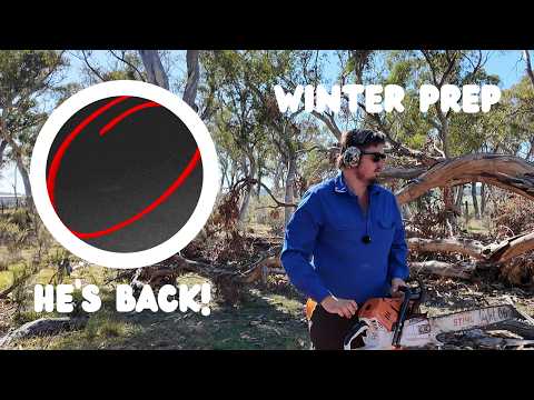 Mr Fox Is Back… And We’re Preparing for Winter | Ep 11