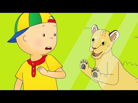 Caillou auf Deutsch neue Folgen ★ Caillou im Zoo COMPILATION ★ HD 2019 ✔