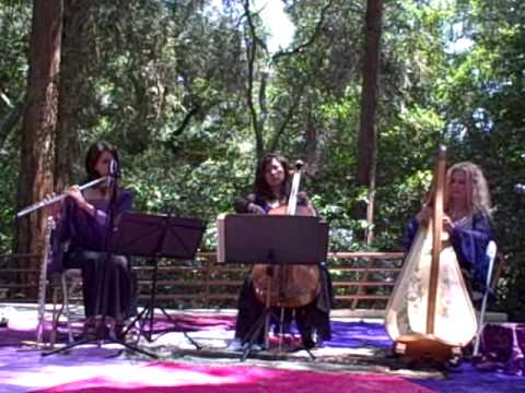 Promotional video thumbnail 6 for Carol Tatum, Harpist (Austin/Dallas/Ft. Worth)