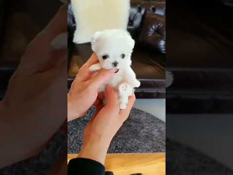 So adorable 😘😘