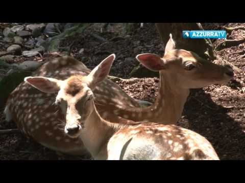 Riaperto il Parco di Villa Pallavicino