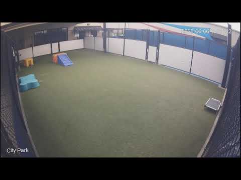 City Park Webcam in Jefferson