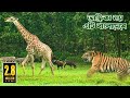 এশিয়ার সর্ববৃহৎ সাফারি পার্ক বাংলাদ