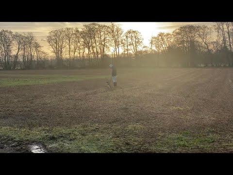 On the coins and relics part 1 and chasing an XP Deus II 🤔