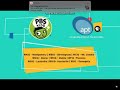 Pbs Kids