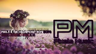 Pixels Music - Pixels &amp; The Magnificent Boys | (&quot;Amity Gardens&quot;) High Pitched Studios