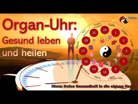 Organ clock according to TCM: Activate your organs optimally for health!
