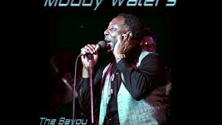Muddy Waters-At The Bayou-Washington D.C. - Oct.27th,1981