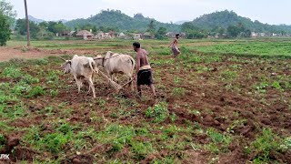 ସୁଖ ଯଦି ଆସିଥିଲା କାଇଁ ଚାଲିଗଲା hasila sansara bhangila Kia sad