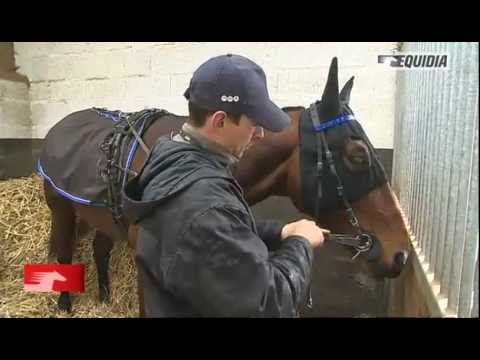 Carnet de pistes : Laurent Koubiche