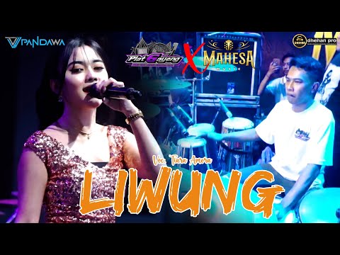LIWUNG - VOC. TIARA AMORA || RANTAU PLAT G X MAHESA MUSIK LIVE CIKARANG EXPOSED