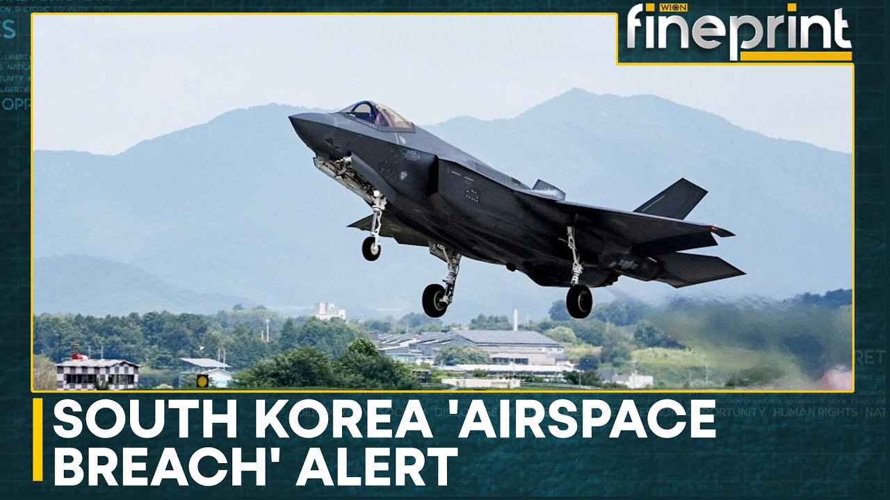 Seoul: Russian, Chinese Warplanes Intruded Air Defence Zone | WION Fineprint