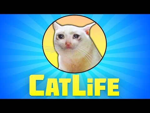Bitlife Made A Catlife Game And It Is WILD - YouTube