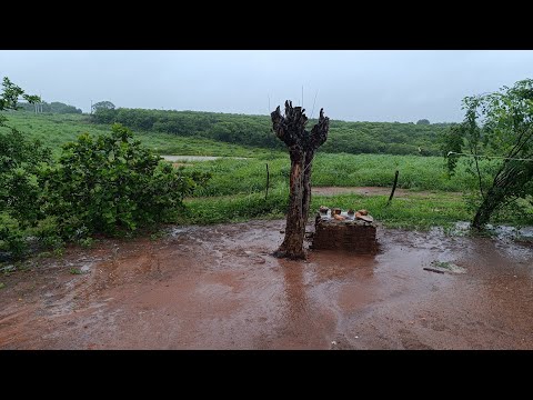 MANHÃ DE MUITA CHUVA NO MEU SÍTIO 