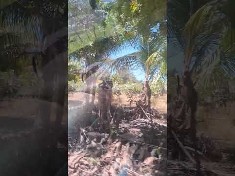 #San Pablo Tacachico queda en el distrito norte del departamento de  La Libertad,#elsalvador