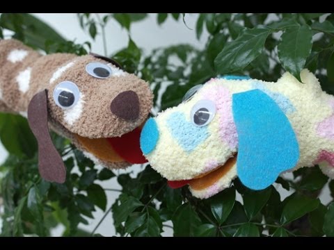 Sock Puppet Puppy