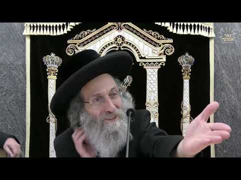 די כח פון יעדע  יוד  שובבי"ם!! | הרב אלימלך בידרמן