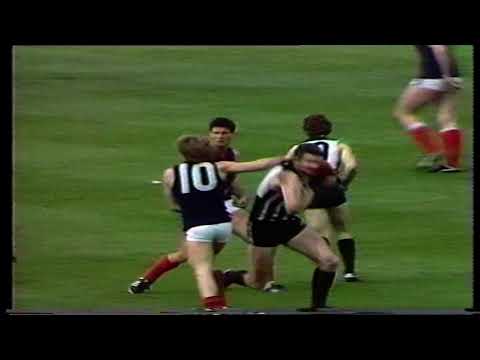 1984 Grand Final Norwood 15.10 100 d Port 13.13 91 Channel 7