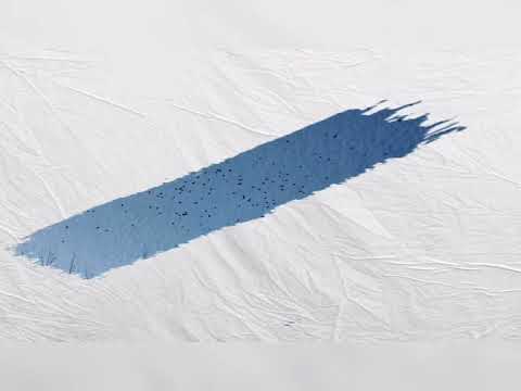 4k WAMPIR PZL - Szach Mat♟️[Prod. flypno beats] ~⁸~