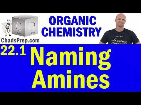 22.1 Naming Amines | Organic Chemistry