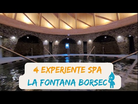 4 tratamente Spa la Fontana Borsec