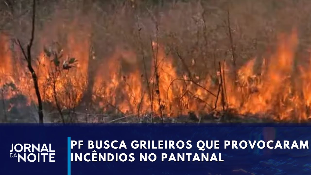 Fogo no Pantanal: PF busca grileiros que provocaram incêndios | Jornal da Noite