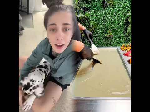 Dog Psychology Facts 🐶🧠 w OnlyJayus - #Shorts