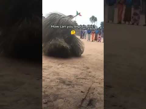 DO YOU BELIEVE IN AFRICAN BLACK MAGIC? #shorts #blackmagic #creepy