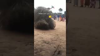 Download lagu DO YOU BELIEVE IN AFRICAN BLACK MAGIC? #shorts #blackmagic #creepy mp3 Download lagu DO YOU BELIEVE IN AFRICAN BLACK MAGIC? #shorts #blackmagic #creepy mp3