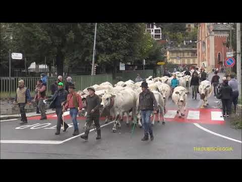 TRANSUMANZA LA RADUNA' A SAMPEYRE IN VALLE VARAITA. (CN) FIERA DI S. MICHELE. DOM.  26 - 9 - 2021.