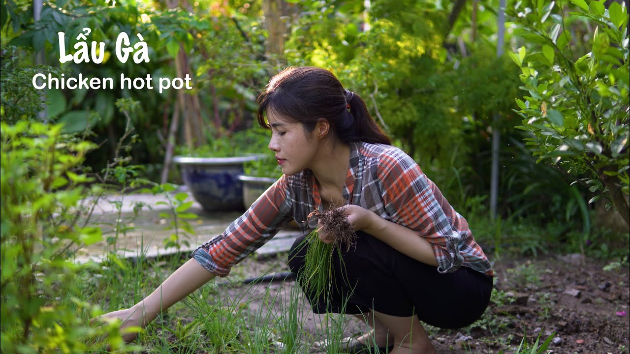 Lẩu Gà Thuốc Bắc