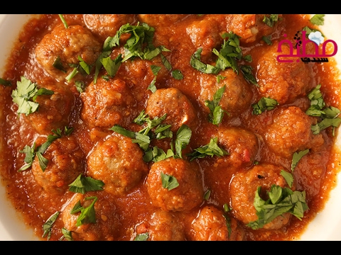 فيديو دوواد باشا