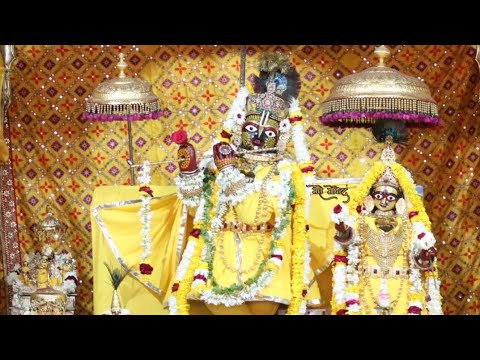 भजो राधे गोविंद भजो राधे गोविंद  भजन #govinddevjimandir #bhajan #govinddevjijaipur #govinddevji