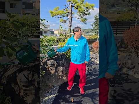 蜘蛛グミをパパに見せる