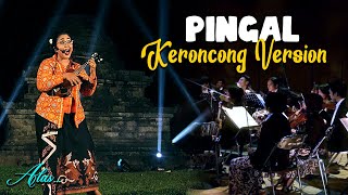 Download lagu PINGAL - Ngatmombilung II Keroncong Version Cover mp3 Download lagu PINGAL - Ngatmombilung II Keroncong Version Cover mp3