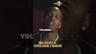 DMX says that Steven Seagal was a BULLY😳