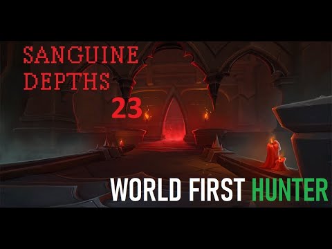 World First Hunter 23 Timed Sanguine Depths Carmeezy PoV