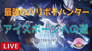 【MHWI LIVE実況】いよいよ「筆みたいな」装備が揃う時が来た！