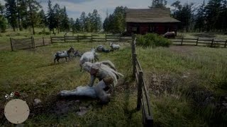 Red Dead Redemption 2 Rancher F*cked Up By Goats Red Dead Redemption 2 Rancher F*cked Up By Goats