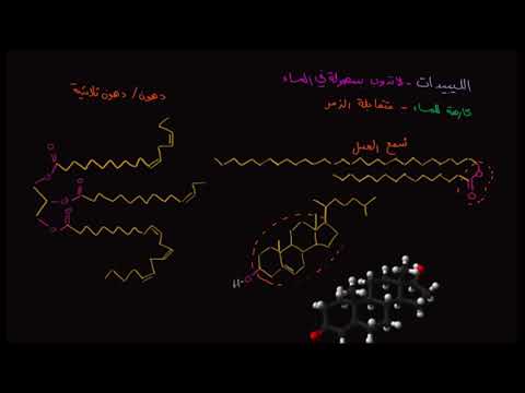 الصف العاشر الأحياء الجُزيئات الضخمة الليبيدات