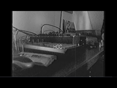 sok & don dose - reizhustler