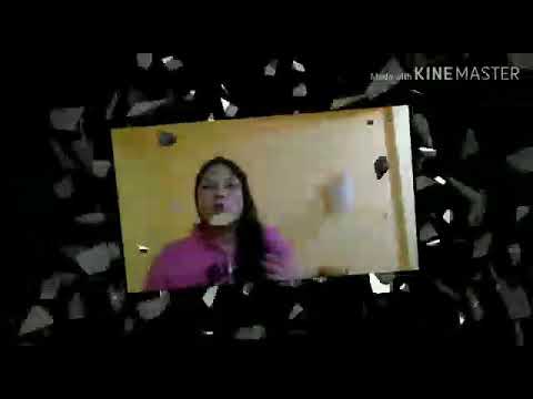 Curiosidades sobre Rondônia