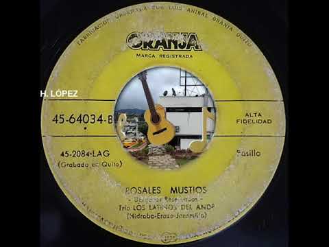 Rosa - Trío los Latinos del Ande