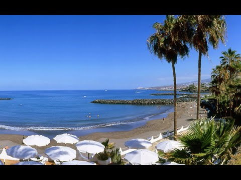Webcam playas de las americas tenerife