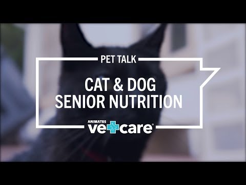 Pet Talk - Nutrition for Senior Cats & Dogs