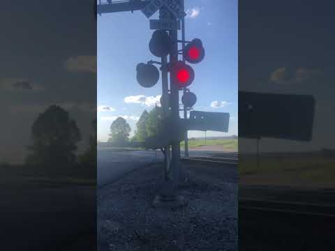 Amtrak 313 Morrison Mo