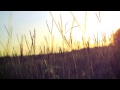 Whiskey Myers talk "Early Morning Shakes" 