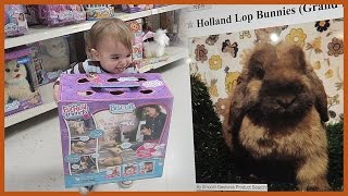 THIS BOY IS GETTING A &quot;DOG&quot;